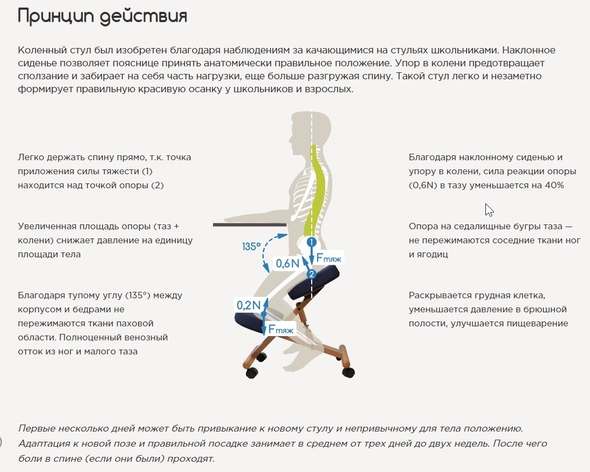 Стул для исправления осанки своими руками