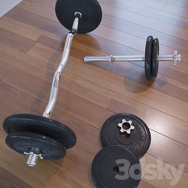 
                                                                                                            Barbell and Dumbbell team CF Barbell
                                                    