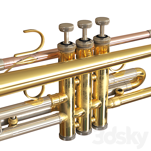 
                                                                                                            Trumpet Pristini
                                                    