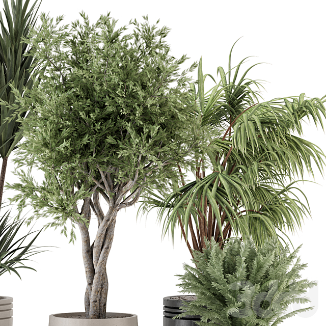 
                                                                                                            Indoor Plants in Ferm Living Bau Pot Large - Set 817
                                                    