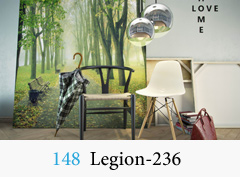148_Legion-236.jpg