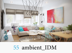 55_ambient_IDM.jpg